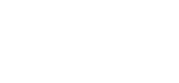 Dualnode